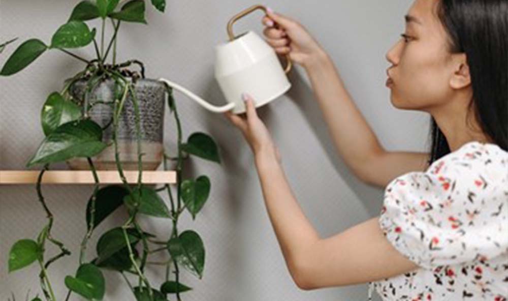 Rumah Minimalis terlihat luas